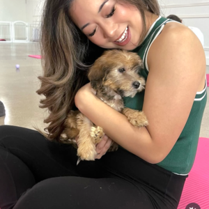 Symba - Small Mini Whoodle! - (18-20 lbs) - 10 Weeks old and Ready for His New Home! - Price $1,295 - $300 Deposit Holds Me!