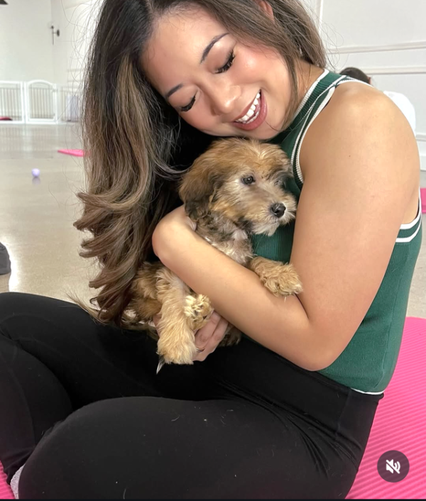 Symba - Small Mini Whoodle! - (18-20 lbs) - 10 Weeks old and Ready for His New Home! - Price $1,295 - $300 Deposit Holds Me!