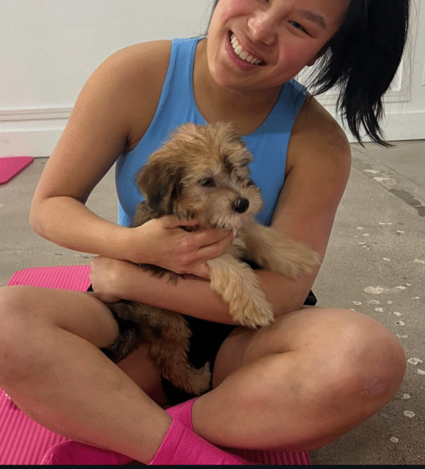Symba - Small Mini Whoodle! - (18-20 lbs) - 10 Weeks old and Ready for His New Home! - Price $1,295 - $300 Deposit Holds Me! - Image 9